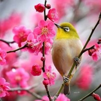 あったかい♡♡