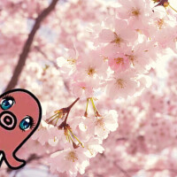 雨降っておじ固まる