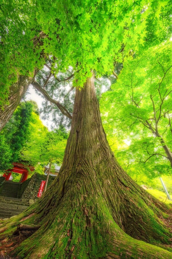 今日の格言