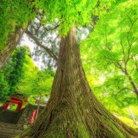 今日の格言