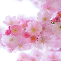 今日の格言