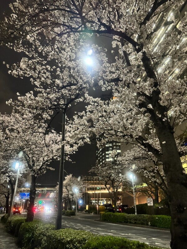 今日の格言
