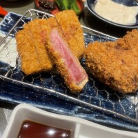 今日の格言