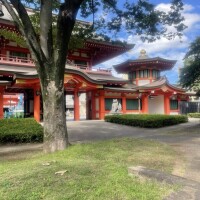 今日の格言
