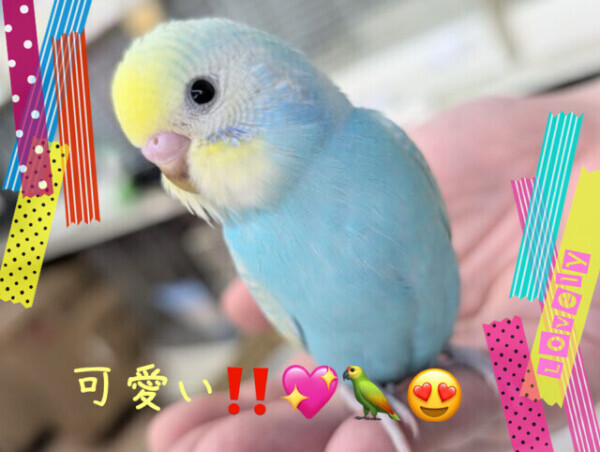 カメラ目線🤭💖