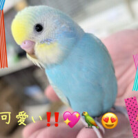 カメラ目線🤭💖