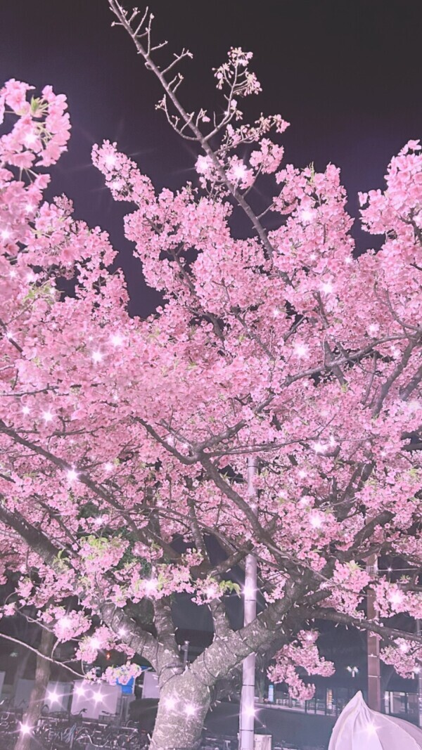 春はもうそこまで…