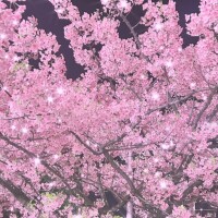 春はもうそこまで…