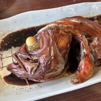 こんばんは🐟
