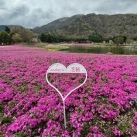 春爛漫🌸