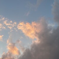 今日の格言