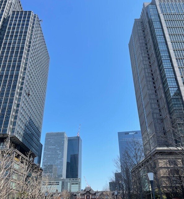 やったぁ、春到来！？