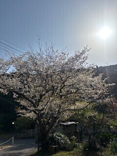 3月もあっという間✨
