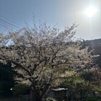 3月もあっという間✨