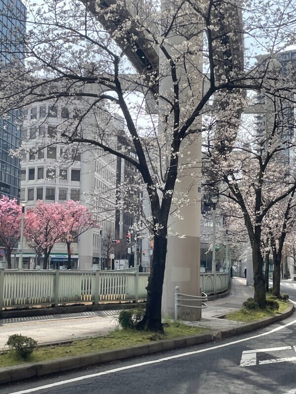 今日の格言