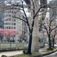今日の格言