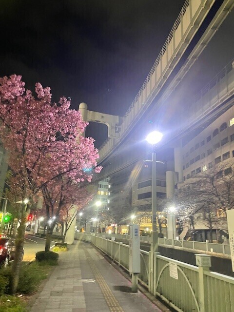 今日の格言