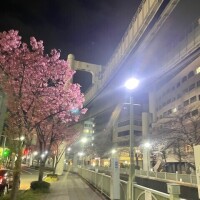 今日の格言