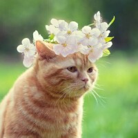 4月に突入！