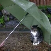結構降ってます☔️