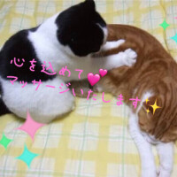 出勤しました！(*´˘`*)♡