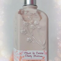 感謝✨
