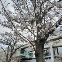 おやすみなさい！