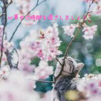 お花見日和🌸✨️