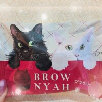 ブラウにゃー🐱