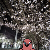 大人のたまり場