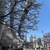 千葉参上🥰
