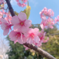 Blu-rayは今から観るよ🥱