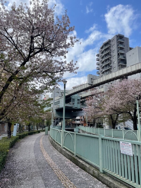 今日の格言