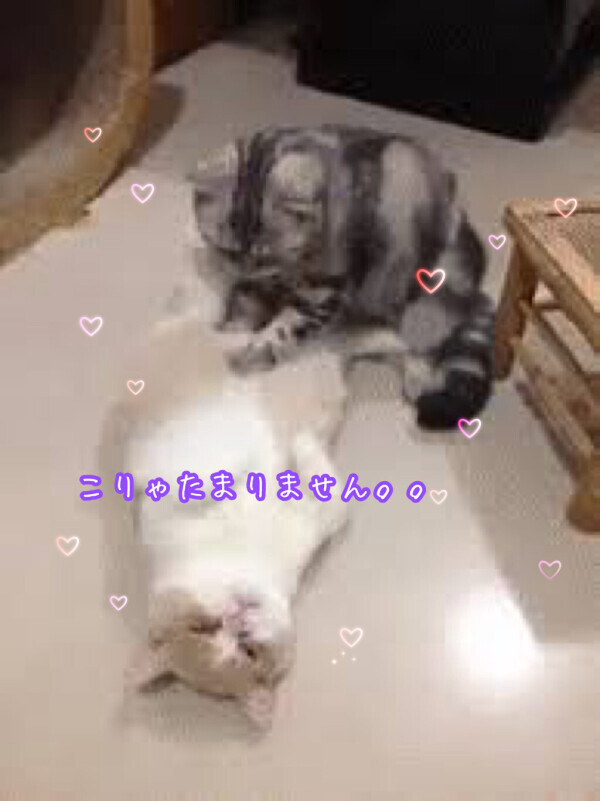 お疲れではないですか？