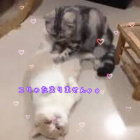 お疲れではないですか？