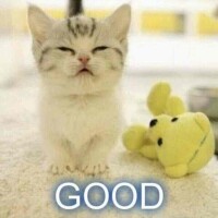 ℒℴѵℯ*¨*•