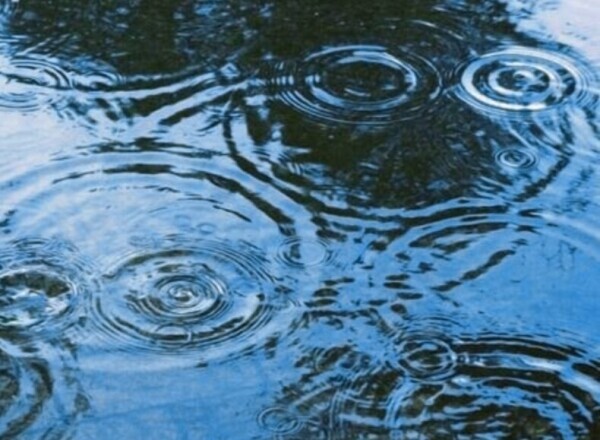 雨止んできました🌂🌂🌂