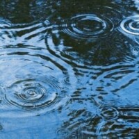 雨止んできました🌂🌂🌂