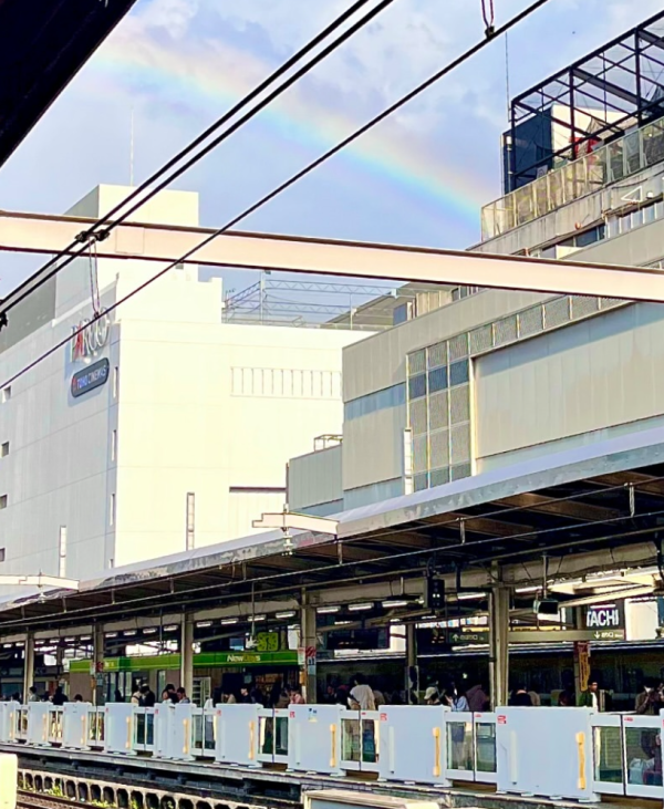 虹🌈