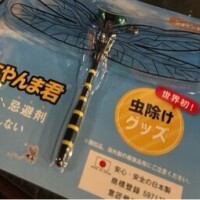 おにやんまくん！