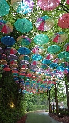 傘がない