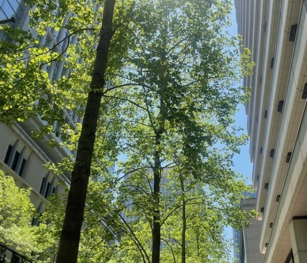 施術をされる側