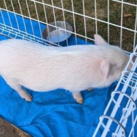 おはようございます