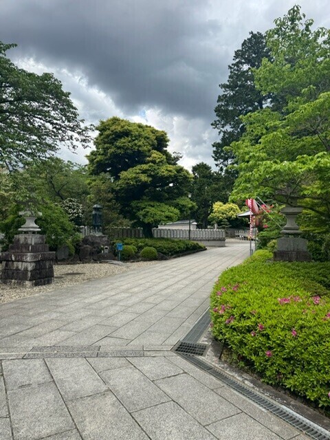 今日の格言