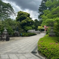 今日の格言