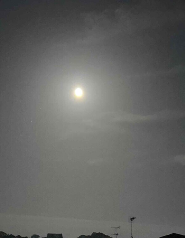 今夜の満月🌕