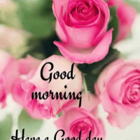 Good morning☀️