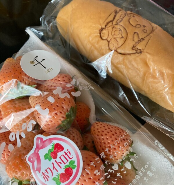 おはようございます