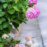 やっぱりぃ〜☔️