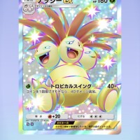今日の格言